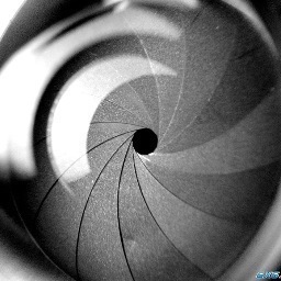 KFVprod's profile picture. 