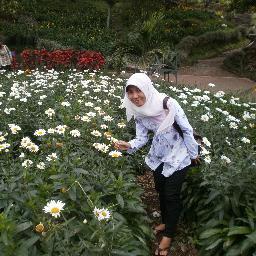 Petroleum Engineering 2009