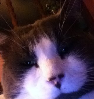 LaflammeClayton's profile picture. 