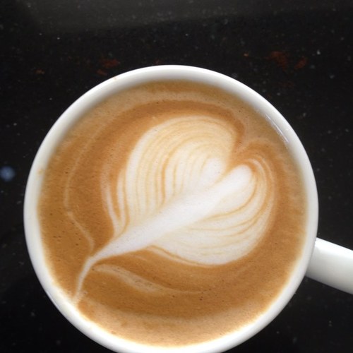 gfouracre1959's profile picture. Journeyman, husband, father, educational leader, runner, cyclist, tour de france tragic, friend, coffee snob and blues guitar solo officianado...