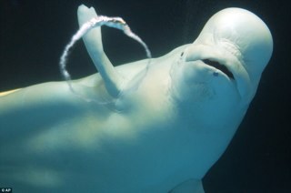 Terchoun8's profile picture. 