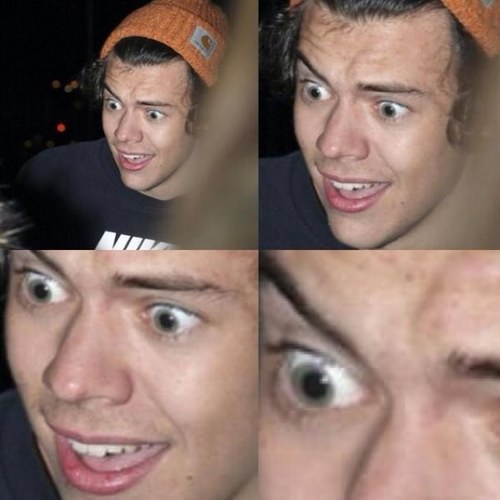 Before i go to bed i dream about fucking Harry , oh wait i really am fucking Harry . Yeah thats right bitch i got the Styles D.