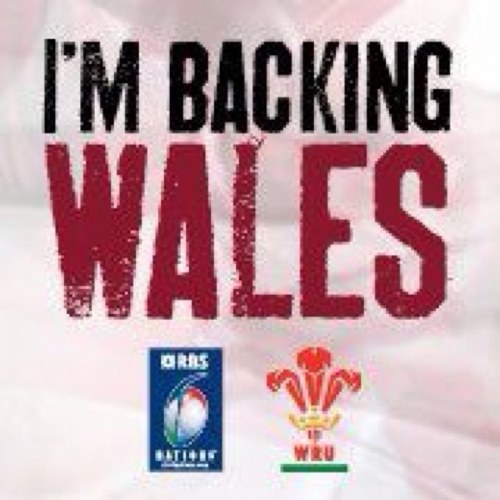 Lover of welsh rugby
