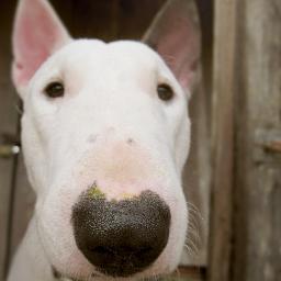 PopanDAYe's profile picture. 