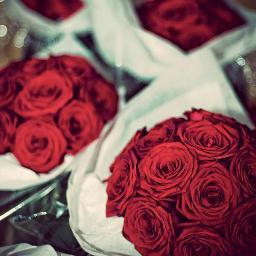 TheTweetingWife's profile picture. Tweeting the things I don't say to him. A modern form of marriage therapy.