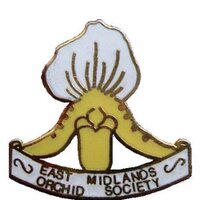 EastMidlandsOrchids (@pask_steve) 's Twitter Profile Photo EastMidlandsOrchids (@pask_steve) 's Twitter Profile Photo