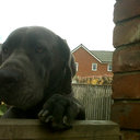 peter small - @petersmall83 - Twitter