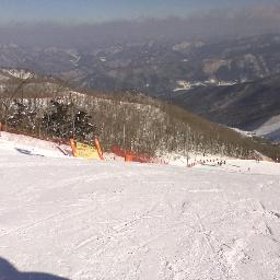 pine_c5c's profile picture. 小遣いはこうして稼いでます。
誰にも秘密にしたいですが、毎月助かってるのでツイッターでつぶやきます。