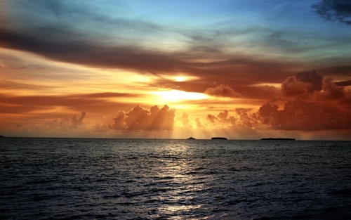 Tomoohalshareef's profile picture. consultant lnternal medicine