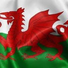 _G_R_R_'s profile picture. Welsh ambassador to Scotland.