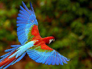 SahilGaikwaad's profile picture. Love marathi music industry.. I'm a small part of it,help in composing music,new on twitter,I'm hating this.. Coz its waste of time,log in into the world