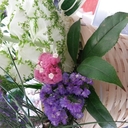 かめ吉 (@1966mariko) Twitter