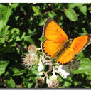 Zurima lopez - @pabloyzuri - Twitter