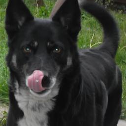 Oceane1403Tina's profile picture. 