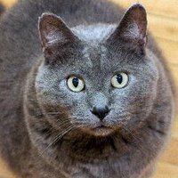 Ellen M. Perrault (@nellep67) 's Twitter Profile Photo Ellen M. Perrault (@nellep67) 's Twitter Profile Photo