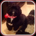 Karen Lock - @karenmicklock - Twitter