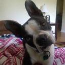 Ben Trask - @BenTrask69 - Twitter