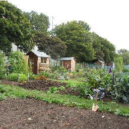Keelby_Allotmen Profile Picture