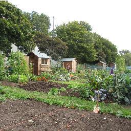 We grow veg, flowers and community spirit on our site in Keelby, Lincolnshire.