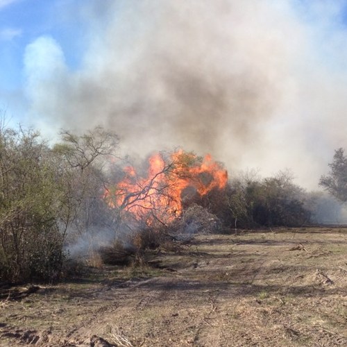 Todd634's profile picture. 