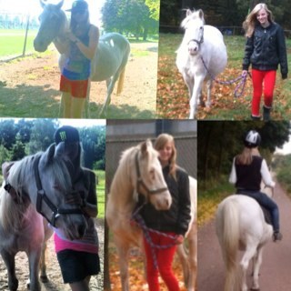 Little Monster since '08, @ladygaga is my life. I love horseriding. I saw gaga live twice, 15'05'10 & 18'09'12 and i''ll see her again 24'09'14 3