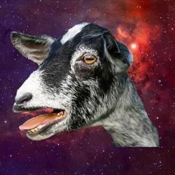 Trazendo muita alegria e ousadia, sou o famoso Bode Gaiato, Admirado pelos loucos e criticados pelos toulos