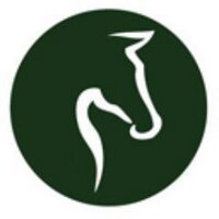 Wirral Horse (@wirralhorse) 's Twitter Profile