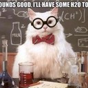 Colette Palmer - @colettepalmer - Twitter