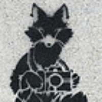 trust a fox (@trustfox) 's Twitter Profile