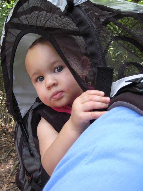 Cookster429's profile picture. 