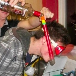 vodkacheesecake's profile picture. 