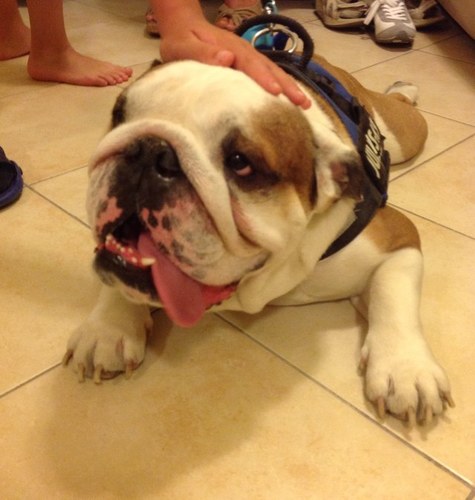 Maxi_0211's profile picture. 