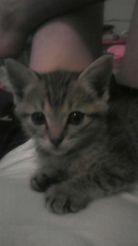 hitomi_13bon's profile picture. 