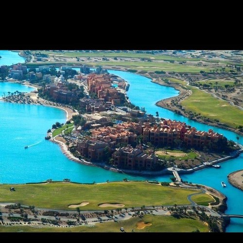 1_A_1_A's profile picture. 