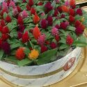 小さい頃から花が大好きで花の仕事をしてます。起業したので代表取締役。カフェや雑貨店巡りが大好きです。よく原宿や渋谷に出没します。図書館にもよくいきます。哲学、心理学、経営学、読んでます。