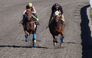 Assistant trainer, exercise rider at Hastings Park