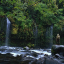 Bruce Childs - @childs_bruce - Twitter