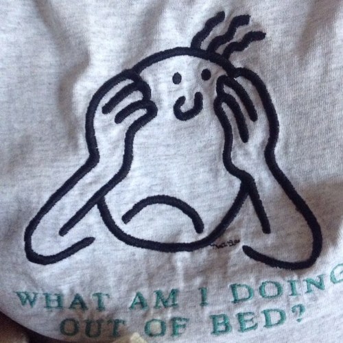 hippychickMel's profile picture. 