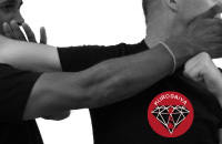 VIOLENCE CONTROL & Aggression Management (Proportional) for Law Enforcement & Public Security, TACTICAL MMA & Kickboxing, Mil. Close Combat. GEWELDMANAGEMENT.NL