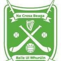 Crossabeg/Ballymurn GAA Club (@cbeg_bmurn_gaa) 's Twitter Profile Photo