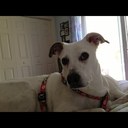 nancy colburn - @silenceleigh - Twitter