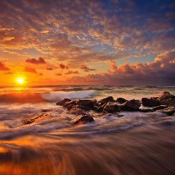 cincewhen's profile picture. "The reason I dedicate myself to helping animals so much is because there are already so many dedicated to hurting them." Author Unknown