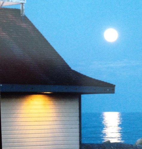 MarieOB17's profile picture. Health and Physical Education teacher in downtown T.O.