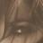 BcuzumSexy's profile image