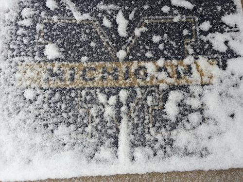 danwmu214's profile picture. 