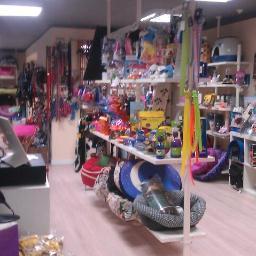 Surfingpets's profile picture. 