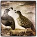 StateBird Provisions (@statebirdsf) Twitter profile photo StateBird Provisions (@statebirdsf) Twitter profile photo