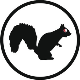 Puzzled Squirrel アカテレ 幻覚ミジンコ楽団 小川美潮 Http T Co Utgno4bw Via Youtube