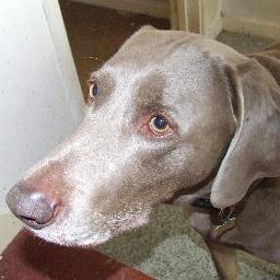 hunt3191's profile picture. 