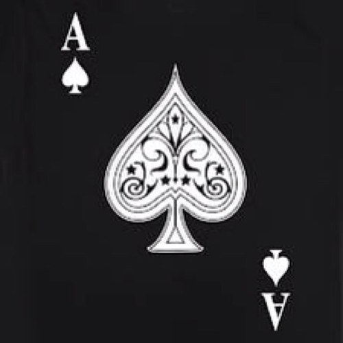 Accumulator_'s profile picture. Accumulator tips are provided each day. I provide my selections from my own software. Selections are FREE until further notice.